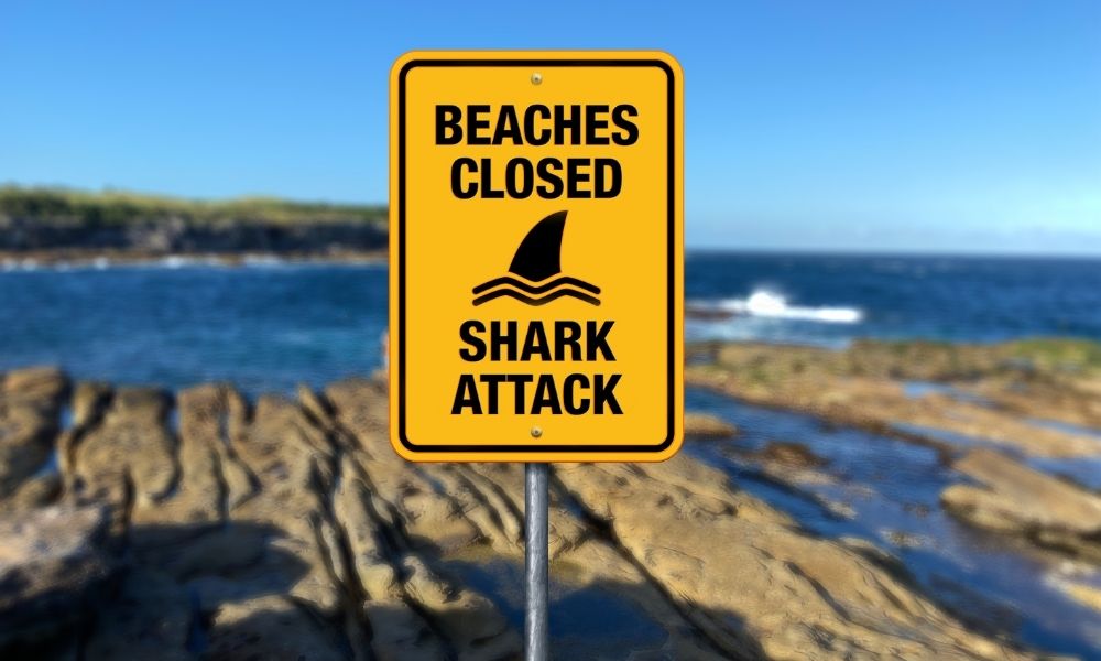 Ataque tubarão Austrália