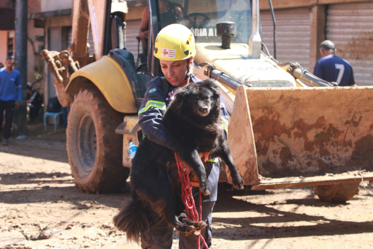 Agente resgata cachorro em Petrópolis