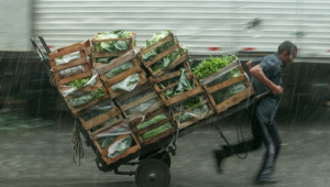 Homem puxando carrinho com caixas de verdura