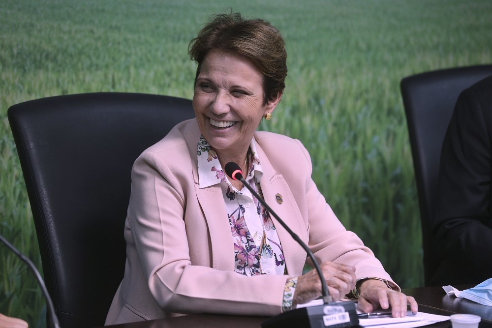 Sentada em uma cadeira, ministra Teresa Cristina sorri