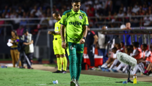 Abel Ferreira olhando para o gramado durante partida entre São Paulo e Palmeiras