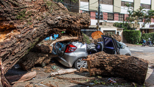 Árvore caída em cima de um carro conversível em rua de São Paulo, durante o dia