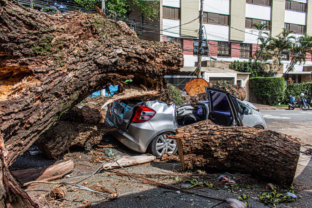 Árvore caída em cima de um carro conversível em rua de São Paulo, durante o dia