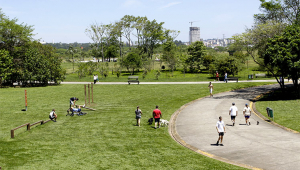 Pessoas andam e se exercitam em área gramada e via no Parque da Água Branca