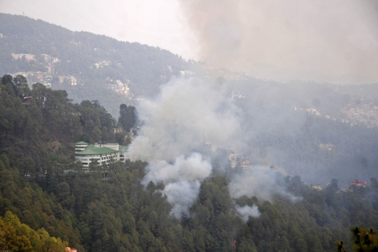 Incêndio florestal no Estado indiano de Shimla Pradesh
