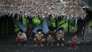 Crianças indígenas da etnia yanomami agachados embaixo de uma oca