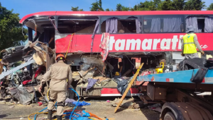 Acidente entre ônibus e carreta deixa 11 mortos no Mato Grosso