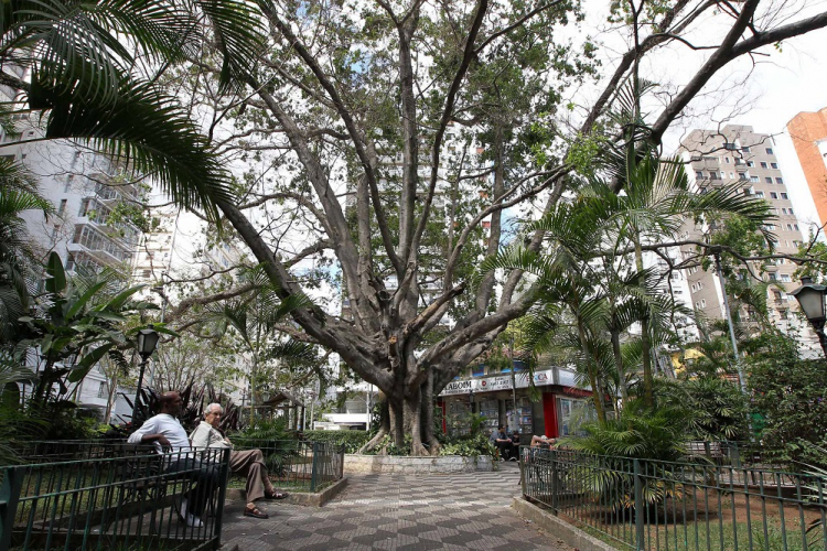 Praça Vilaboim com uma grande árvore, dois idosos sentados em um banco e uma banca de jornal