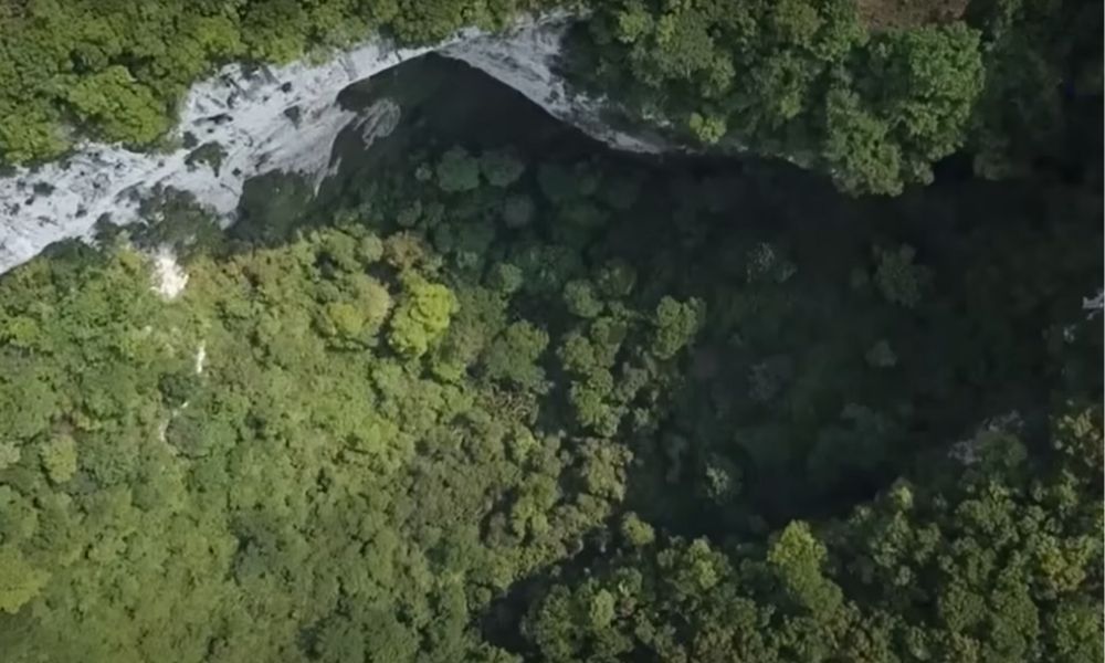 Cientistas chineses descobrem floresta escondida em buraco de 306 metros de comprimento – Jovem Pan