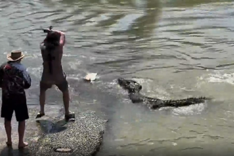 man fights with crocodile