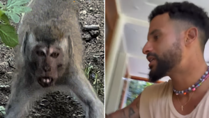Italo Ferreira registrou o momento em que fugiu de macacos na Indonésia