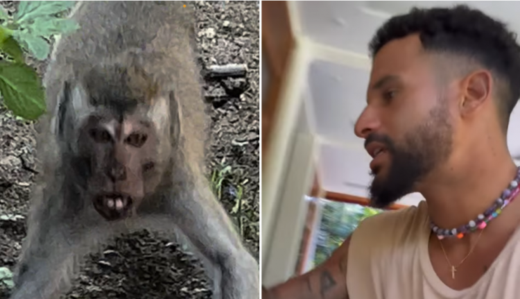Italo Ferreira registrou o momento em que fugiu de macacos na Indonésia