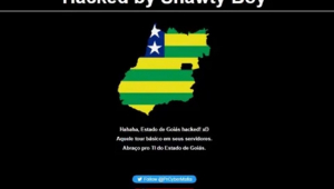 Página inicial do site do governo de Goiás exibiu mensagem de hacker 'Shawty Boy'