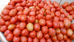 Diversos tomates amontoados em um compartimento no supermercado