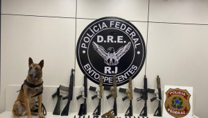 Sete fuzis são mostrados pela Polícia Federal, ao lado de carregadores e de cão farejador Apollo