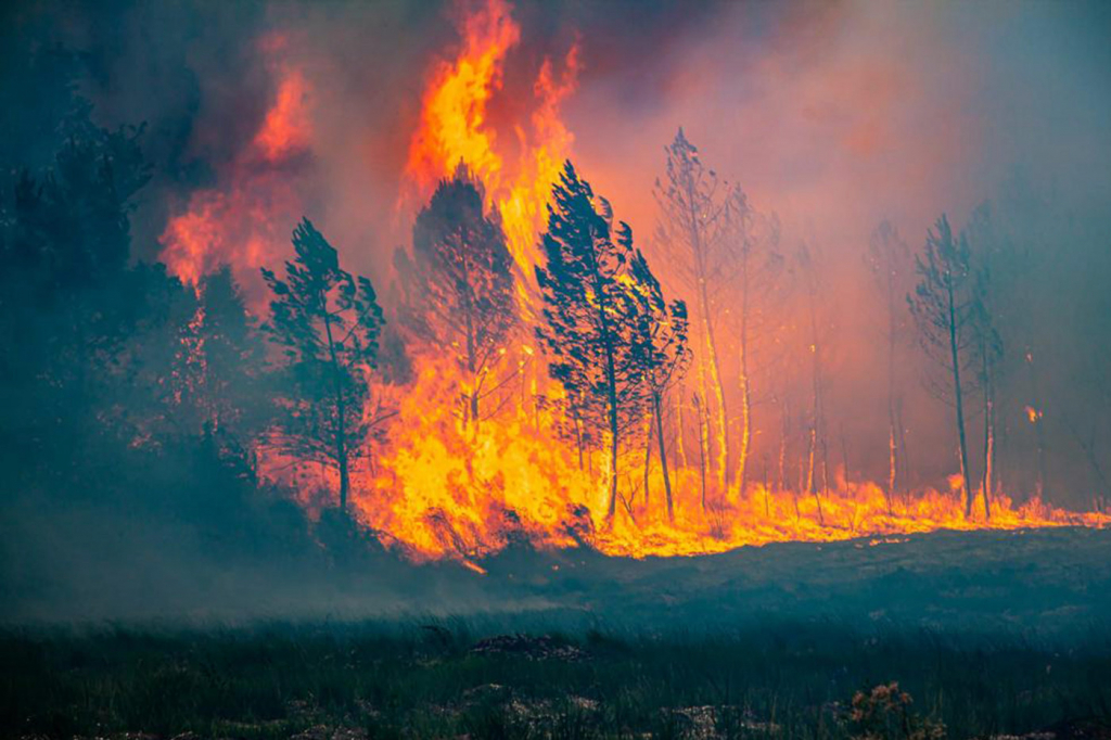 Floresta queima na França