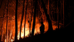incêndio em Portugal