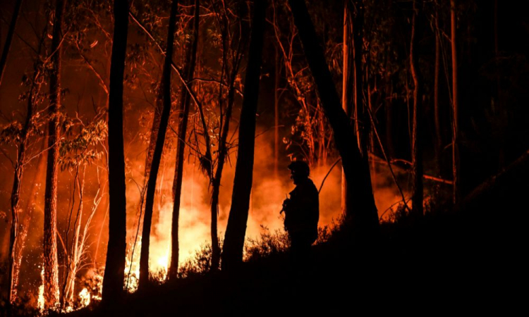 Bombeiros combatem 560 incêndios no Rio de Janeiro em 2025