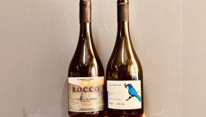 Foto frontal de garrafas de vinhos