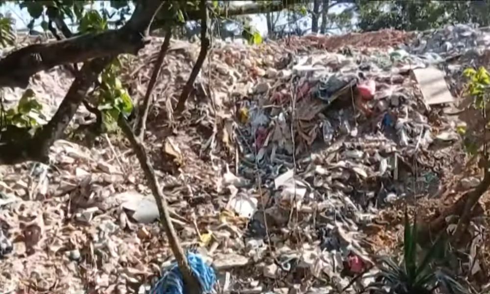 Moradores da zona sul de São Paulo fazem abraço na Represa de