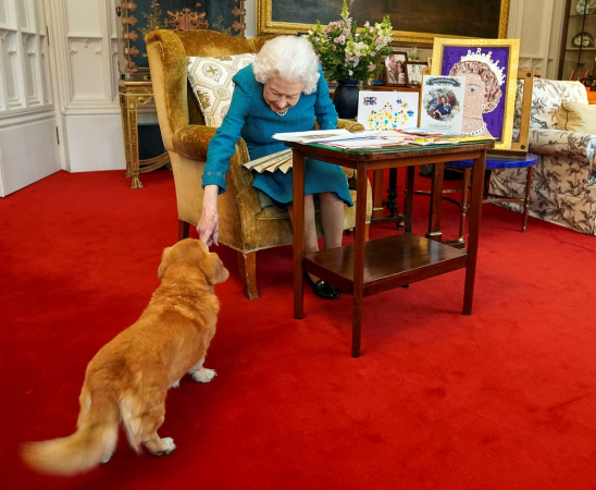 Rainha Elizabeth II teve mais 30 cachorros da raça corgi ao longo da vida