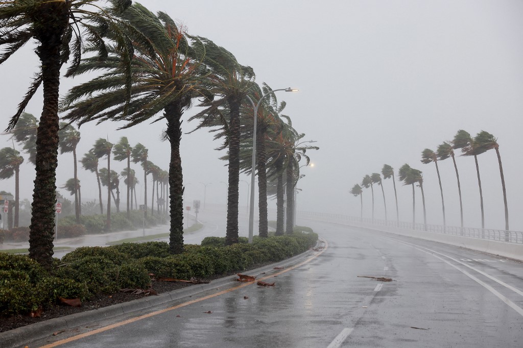 Palmeiras sopram no vento do furacão Ian em 28 de setembro de 2022 em Sarasota, na Flórida