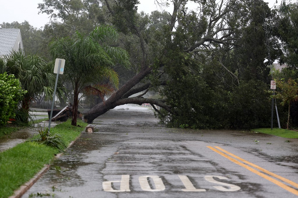 Uma árvore cai sobre a estrada depois de ser derrubada pelos ventos e chuva do furacão Ian em 28 de setembro de 2022 em Sarasota, na Flórida