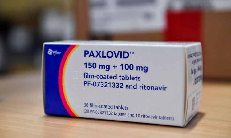 Primeiro lote de Paxlovid, remédio para tratar Covid, é entregue no Brasil