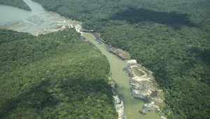 rio purité, colômbia, mineração ilegal