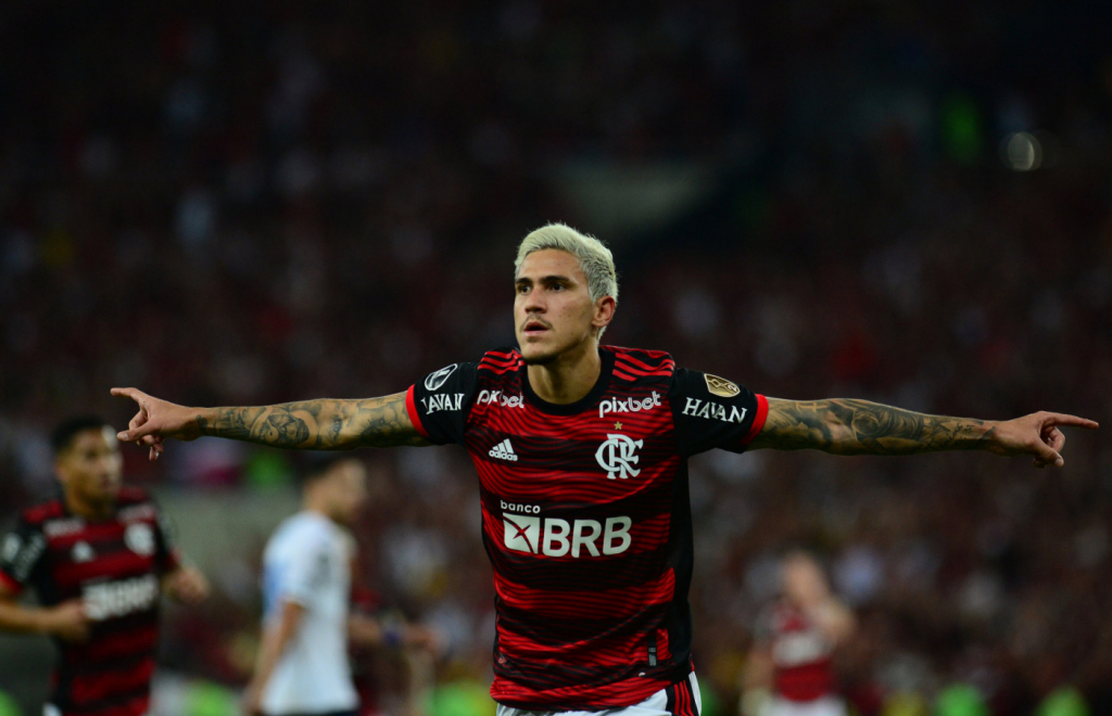 Pedro Flamengo