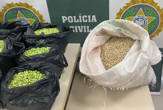 Sacos com os feijões adulterados na sala da