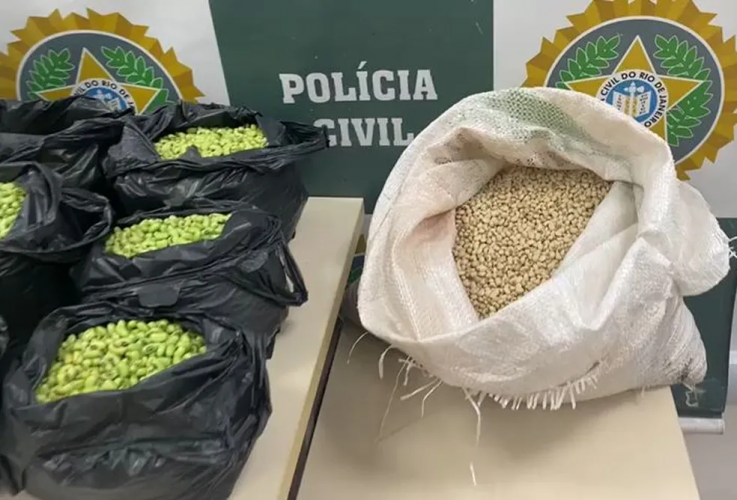 Homem é preso no Rio suspeito de pintar feijão de verde para vender mais caro 3 feijoes