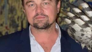 Nem só de estatuetas vivem os indicados: Leonardo DiCaprio é o nome mais rico do Oscar 2026