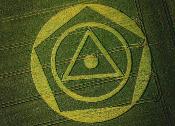 Desenho misterioso aparece em plantação em Santa Catarina e intriga população 1 310515067 644243393885495 8504661685043707154 n e1664905797438