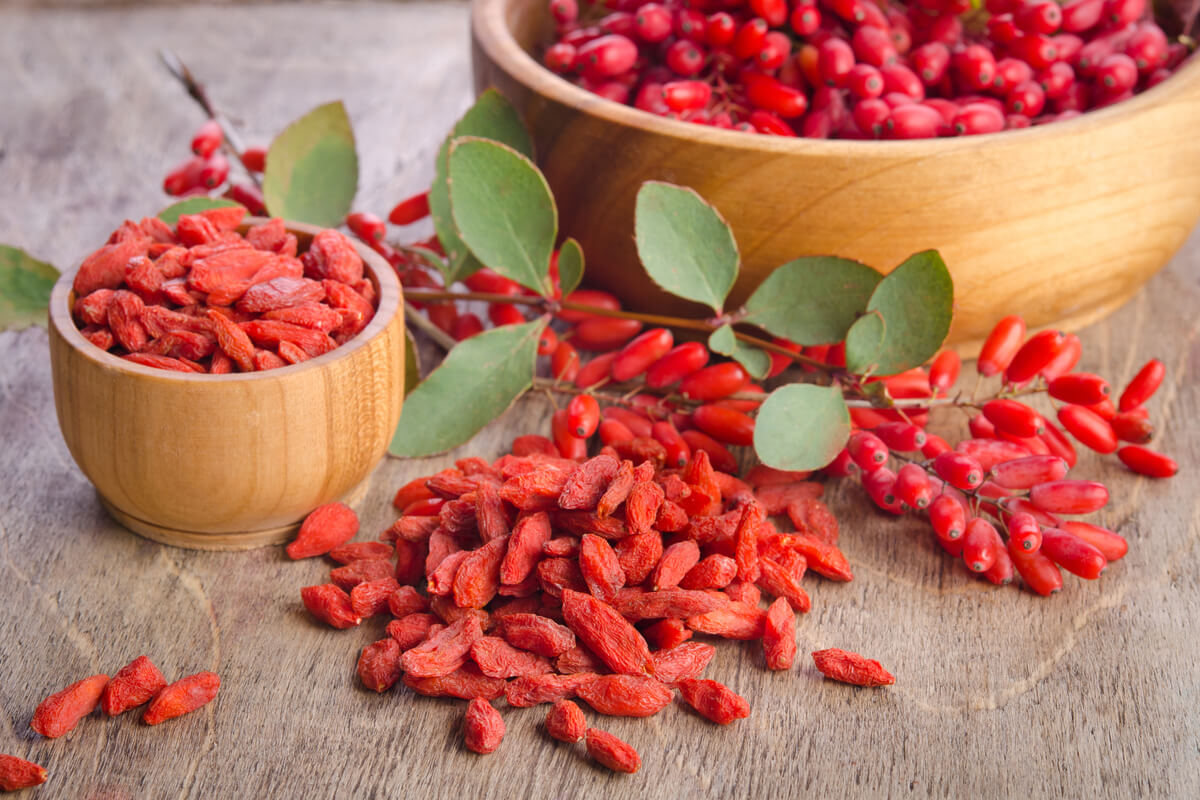 Goji berry é rico em proteínas e minerais 