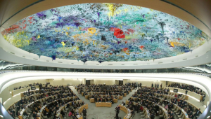 conselho de direitos humanos da ONU