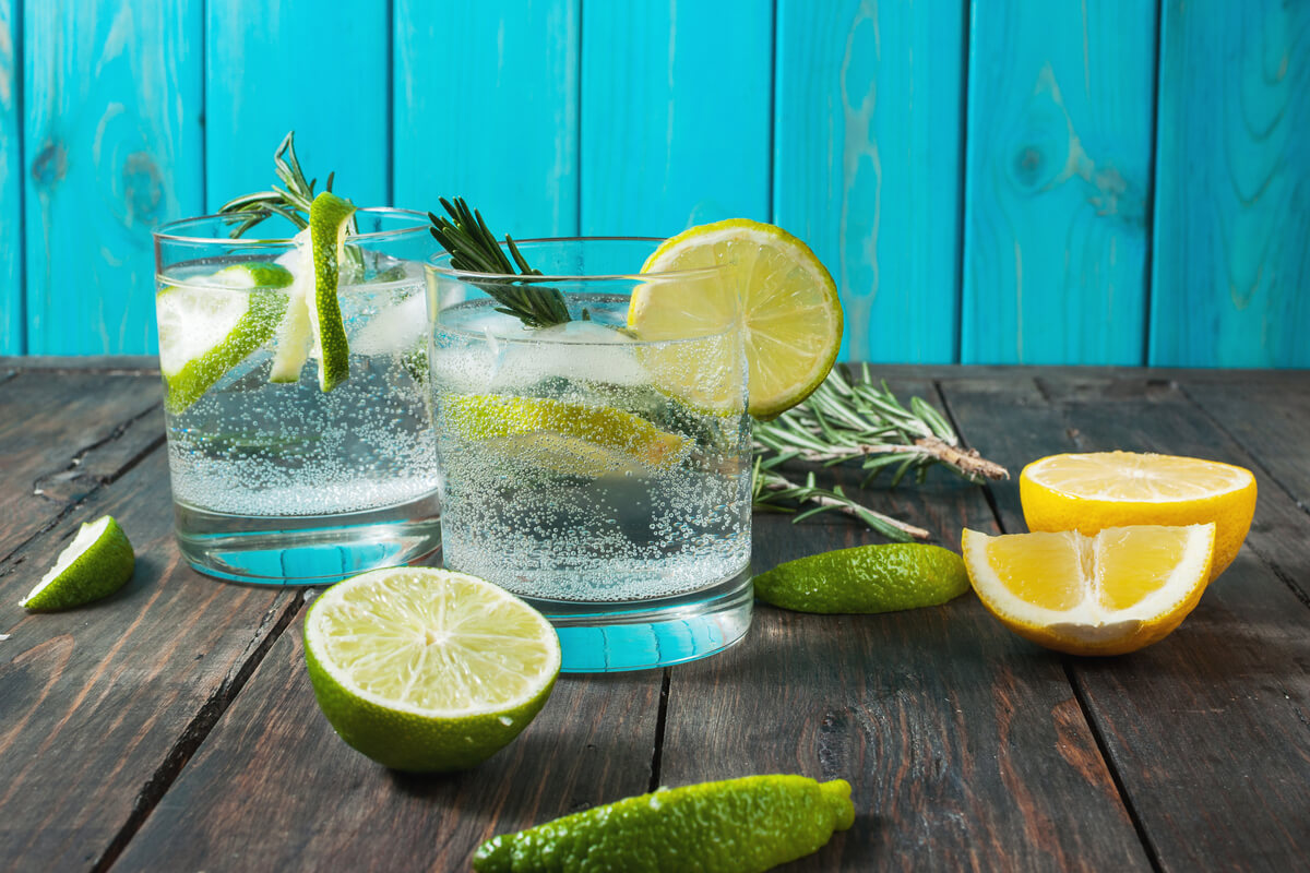 os dois melhores gins tónicos para beber no outono (e preparar-se para a  mudança da hora que está aí)