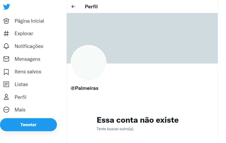 PALMEIRAS. Um pequeno torcedor do Palmeiras viralizou nas redes sociai