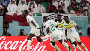 Jogadores do Senegal comemoram gol de Famara Diedhiou diante do Catar