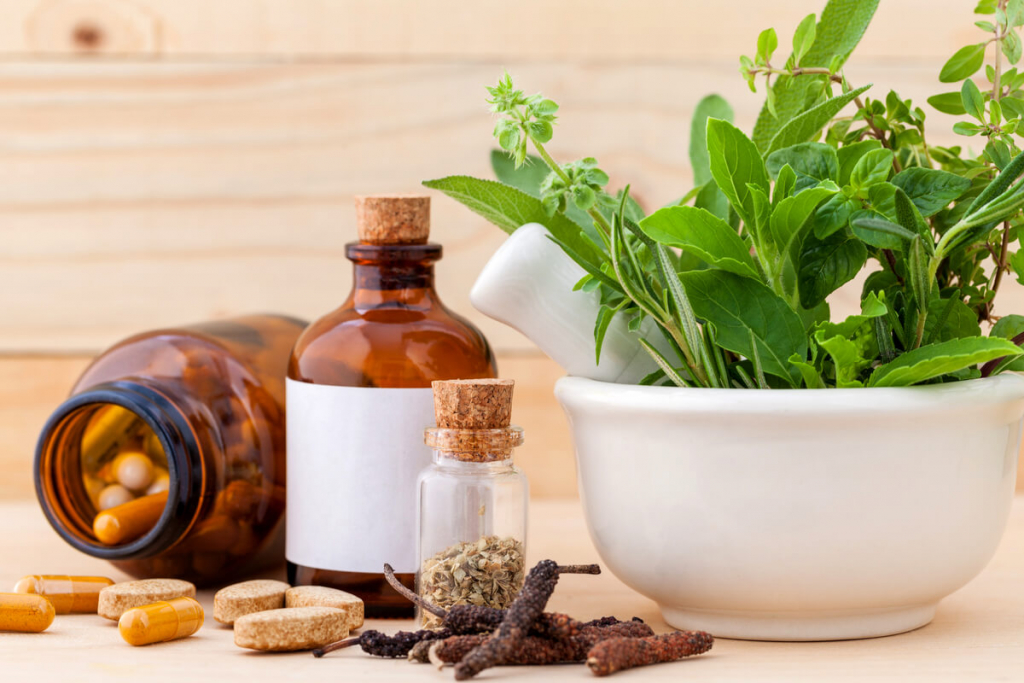 Conheça o poder das plantas medicinais e dos fitoterápicos para a saúde ...