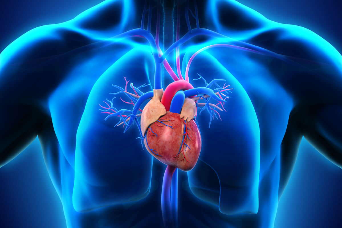 Pessoas com fatores de risco são mais propensas a desenvolverem doenças cardiovasculares 