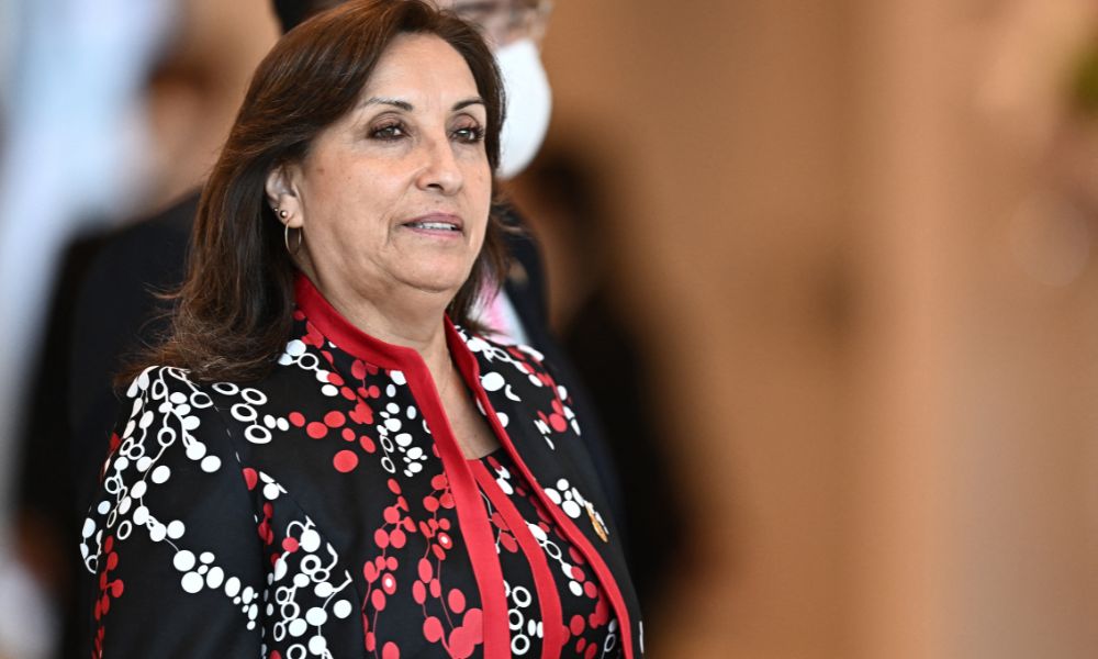 Diputado peruano abre investigación preliminar contra Dina Pouluart por genocidio
