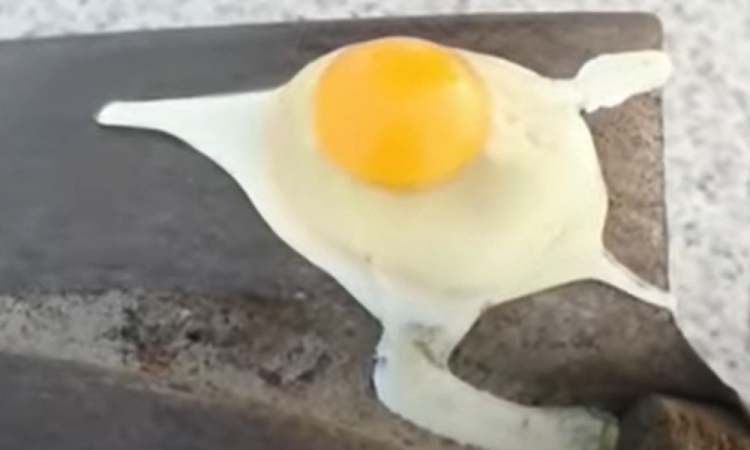 cold freezes egg in China