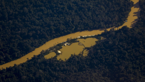 Vista aérea do rio Mucajaí, na terra indígena Yanomami, estado de Roraima