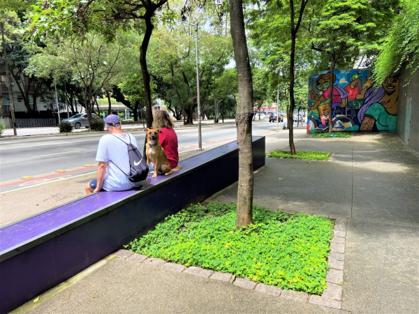 Cachorro descansa com seus humanos na calçada estendida do Nubank localizada na Avenida Rebouças, São Paulo. Ao invés de muros, grades e estacionamentos em frente ao prédio, o projeto foi pensado para beneficiar pessoas