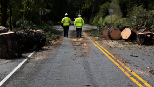Funcionários de serviços públicos caminham em meio a destroços de árvores caídas após forte vendaval em Boulder Creek, Califórnia