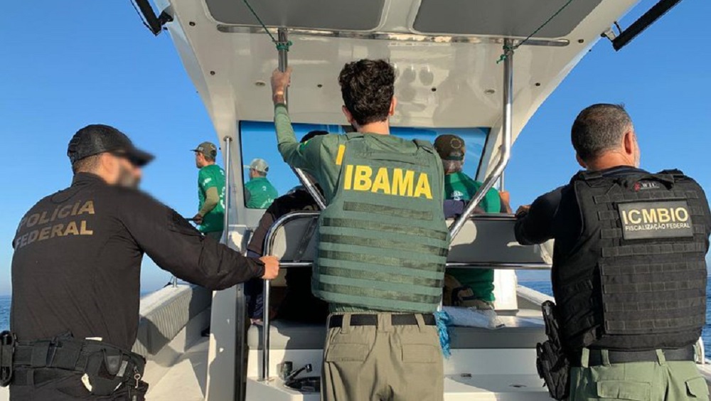 PF apreende 60 toneladas de pescado ilegal no Rio de Janeiro