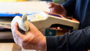 Funcionário da alfândega belga usa escâner para fiscalizar coelho de Páscoa