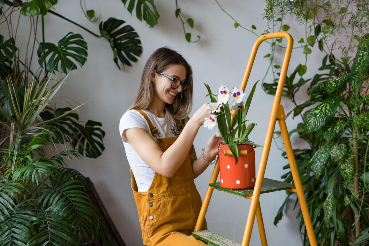 Cuidar das plantas corretamente é fundamental para mantê-las saudáveis 