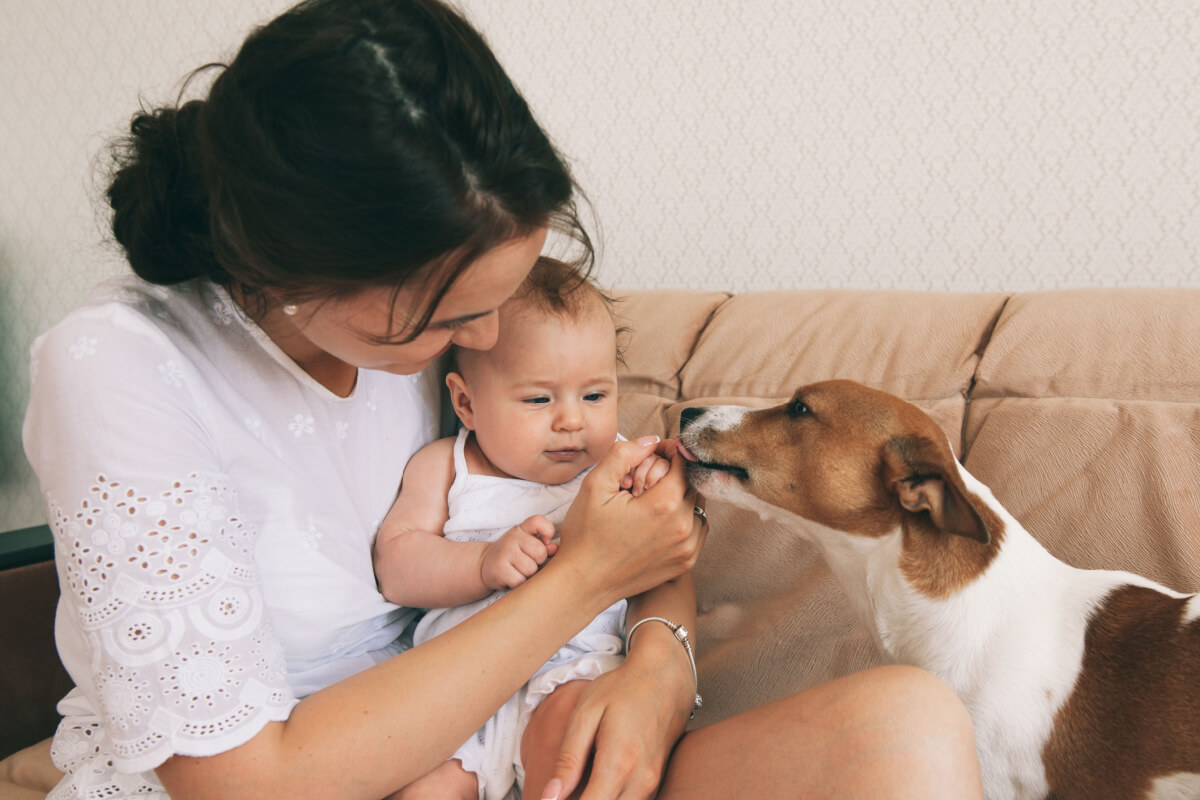 Mudanças repentinas na rotina do pet podem levar a problemas comportamentais  